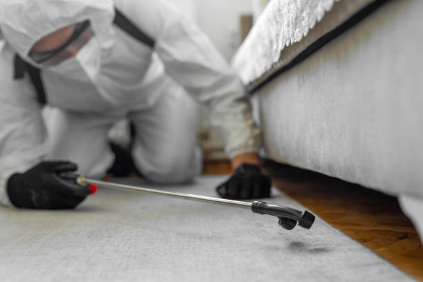 Professional Bed Bug Control technician working in Pottsville, PA