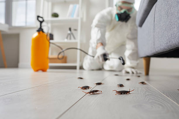 Trusted Rodent Control service in Pottsville, PA - Nex Pest Control