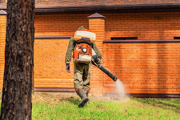 Trusted Mosquito Control service in Pottsville, PA - Nex Pest Control